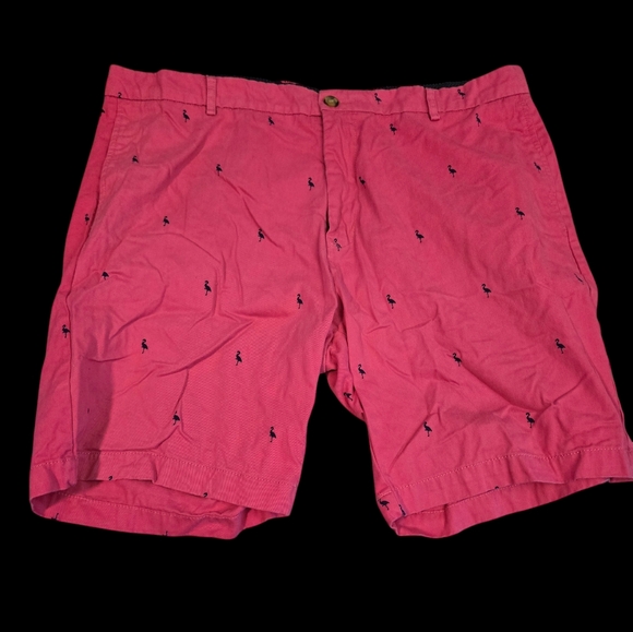 Tailorbyrd Other - Tailorbyrd 38W Flat front shorts